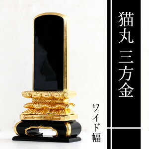 ʔv {gp  L Oʋ 5   t _ hʔv 24.7cm(ϕsi) _I _  ~ ܂ RK