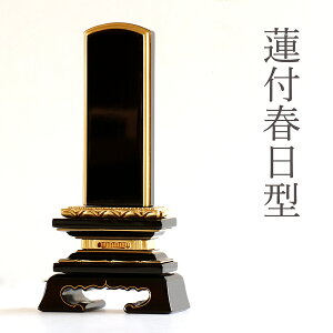 ʔv {gp @ؕt t^ 3.5   t _ hʔv 17.7cm(ϕsi) _I _  ~ ܂ RK