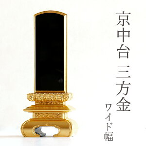 ʔv {gp   Oʋ 6  Ch  25   t _ hʔv 27.8cm(ϕsi) _I _  ~ ܂ RK
