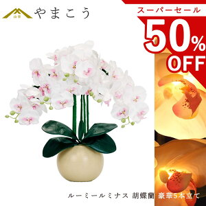 yX[p[Z[ 50%OFFz c킸 ~ ~ V~ _  [~[~iX Ӓ 5{ F AC{[ R[hX dr LED  Mtg Ɩ Oh~iX _