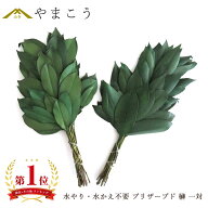 プリザーブド 榊 一対 神棚用 神具 水かえ 水やり 不要 栄える 重ね榊 豪華 本物 サカキ さかき プリザー…