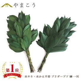 プリザーブド 榊 一対 神棚用 神具 水かえ 水やり 不要 栄える 重ね榊 豪華 本物 サカキ さかき プリザーブドフラワー 神棚 神具 仏具 盆提灯 やまこう 山幸