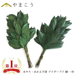 vU[uh   _Ip _   sv h dˍ  { TJL  vU[uht[ _I _  ~ ܂ RK