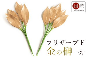 _ ̍ Ԃł͂ȂVR̗t vU[uh  _Ip  Y _I _  ~ ܂ RK