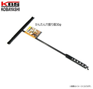@@ 񂽂񌊌@30 /[эH]/[kobayashi]dĂAnEXȂǂ̃pCvݗp̌yXsuꕔnvtsst