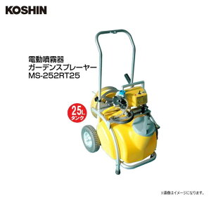 Hi@d@K[fXv[[@MS-252RT25 Ƀsb^I@dƃ^ÑZbg20mz[XtskCAA͕ʓr܂Btsst