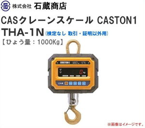 CASN[XP[(͂) CASTON1 THA-1N 1ton܂ŗpmȂ EؖȊOpnskCAA͕ʓr܂B/st