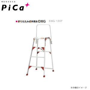 sJ(Pica) ܂肽ݍƑ@DXG[em]DXG-120T VꍂF1.20mskCAA͕ʓr܂Bstt悪l͔zsB