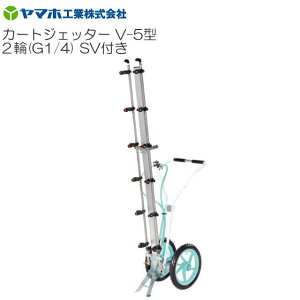 }z J[gWFb^[V-5^ 2 SVt G1/4 Uz Uz:165cm ̖؁E h _ ELAKmYs(ꕔnFs)t