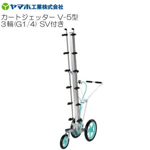 }z J[gWFb^[V-5^ 3 SVt G1/4 Uz Uz:165cm ̖؁E h _ ELAKmYs(ꕔnFs)t