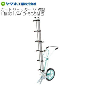 }z J[gWFb^[V-5^ 1 D-6CSt G1/4 Uz Uz:165cm ̖؁E h _ VLpCS^s(ꕔnFs)t