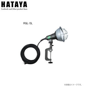 n^~ebh LEDƓ[Op] RGL-5L [r[v^Cv(20W)/dF]ȃGlE LEDd̗pskCAA͕ʓr܂Bst