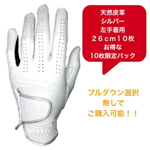 yzY VRv StO[u܂Ƃߔ10pbNSt O[uVo[ zCg/ubN蒅piEpjE蒅p(p)21`26cm10pbN̓hV