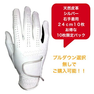 yzY VRv StO[u܂Ƃߔ10pbNSt O[uVo[ zCg/ubN蒅piEpjE蒅p(p)21`26cm10pbN̓hV