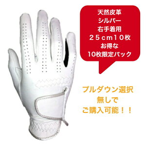 yzY VRv StO[u܂Ƃߔ10pbNSt O[uVo[ zCg/ubN蒅piEpjE蒅p(p)21`26cm10pbN̓hV