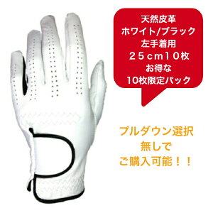 yzY VRv StO[u܂Ƃߔ10pbNSt O[uVo[ zCg/ubN蒅piEpjE蒅p(p)21`26cm10pbN̓hV