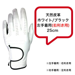 �����Y �V�R��v �S���t�O���[�u �z���C�g/�u���b�N ���蒅�p(�E�����p)21cm�`26cm���K�p�̎�܂Ȃ炱�ꂪ���X�X���I�V���v���Ȗ���f�U�C�����̓��h�V�̓����蕨�v���[���g