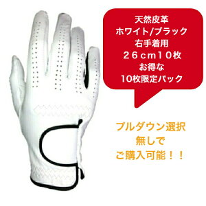 yzY VRv StO[u܂Ƃߔ10pbNSt O[uVo[ zCg/ubN蒅piEpjE蒅p(p)21`26cm10pbN̓hV