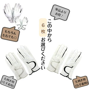 Y VRv StO[u yz܂ƂߔIIVo[EE zCg/ubNEE21cm`26cm D6w̓ hV̓蕨 v[