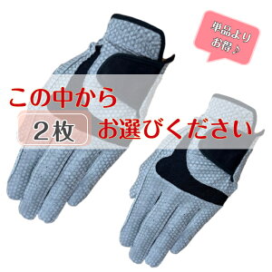 �y���������z��肷���V���R��������2���܂Ƃߔ����I�I�����Y �_�u�� �V���R�� ����~�� �S���t�O���[�u ����@�E�����p�@���蒅�pGRAY�i�O���[�j21cm����26cm�܂ł̂��D����2�������w������