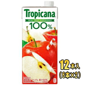 L@gsJ[i 100%W[X Abv 1LpbN×12{(6{×2)