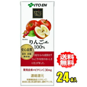 伊藤園 ビタミンフルーツ りんごMix 100% 200ml紙パック×24本入