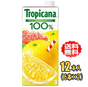 L@gsJ[i 100%W[X O[vt[c 1LpbN×12{(6{×2)