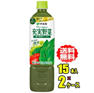 伊藤園 充実野菜 緑の野菜ミックス 740gPET×15本入×2ケース