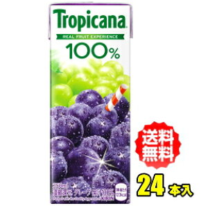 L@gsJ[i 100%W[X O[v 250mlpbN×24{