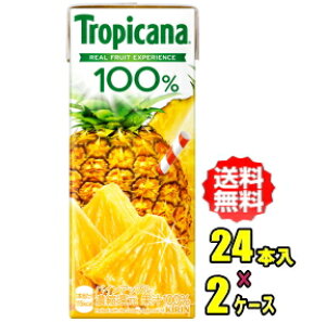 L@gsJ[i 100%W[X pCAbv 250mlpbN×24{×2P[X(48{)