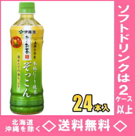 伊藤園　お〜いお茶 ぞっこん 　500mlPET　24本入（おーいお茶ぞっこん）【RCP】【HLS_DU】