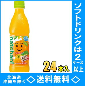 Tg[@Ȃ@IW@425mlPET@24{yRCPzyHLS_DUz