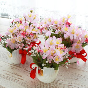   Xɓ̃AW5g VNt[ CTG} G} t[AWg CeA arg