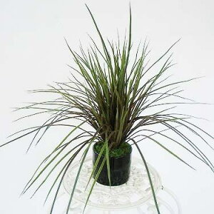  CeA ϗtA OXO[̔A uEO[ VG3232 VNt[ tFCNO[ CeAO[ CTG} G} mgr