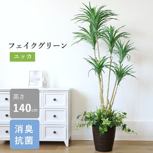  ϗtA ^ bJvg 140cm TKD A CeA tFCNO[ CeAO[ Vz JX J@ j lHϗtA VNt[ CTG} G} snb bgr