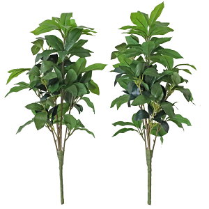  VL~     CTG} G}  VNt[ ފ ~ d      niVo skm