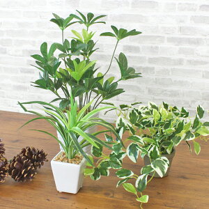  CeA ϗtA tFCN ~jCeAO[|bg 3_Zbg ϗtA tFCNO[ CeAO[ VNt[ CTG} G} mgr