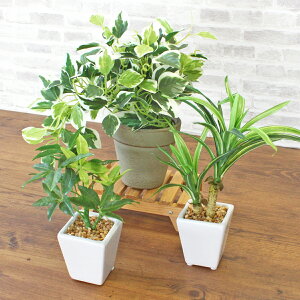  CeA ~jCeAO[|bgp[c[Zbg 3_ ϗtA tFCNO[ CeAO[ VNt[ CTG} G} mgr