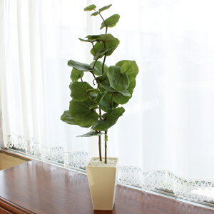  CeA V[O[v|bg 82 VT342,300 tFCNO[ lHϗtA CTG} G} VNt[ bgr