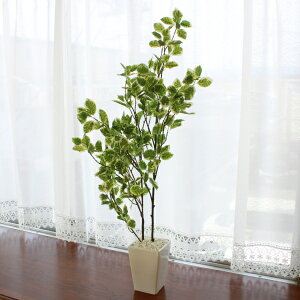  CeA z}|bg 82 VDG5465 tFCNO[ lHϗtA CTG} G} VNt[ bgr