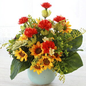  xjoiƃq}̃AW Ђ܂  ̓ CTG} G} VNt[ t[AW CeA t[AWg arg