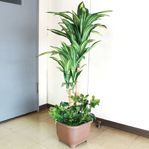  CeA ϗtA hZic[ 110cm tFCNO[ CeAO[ CTG} G} snb bgr