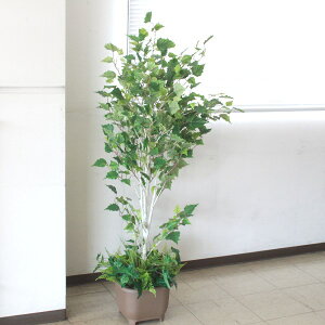  CeA tFCNO[ ^ VJo 180cm TB1823 ϗtA CeAO[ VNt[ CTG} G} snb bgr