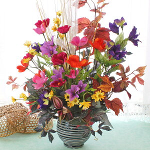  ƃRXXƋj[̏H̃AW VNt[ LLE CTG} G} t[AW CeA t[AWg arg