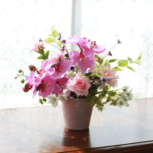  ÊÊj p[vJ[̌Ӓ̃AW CTG} G} VNt[  t[AW CeA t[AWg arg