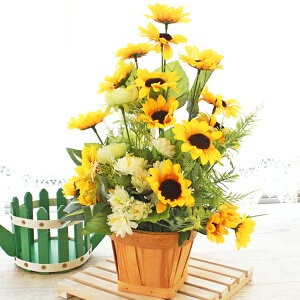 Ђ܂  Ђ܂̂AW VNt[ JS q}  ̓ CTG} G} t[AW CeA t[AWg arg