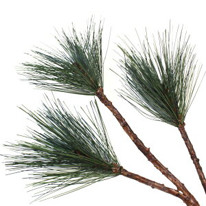  3t} 52cm N4066 VNt[  Pi   CTG} G} tan