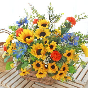  Ђ܂ƃjQ̂AW  Ђ܂ VNt[ ̓ CTG} G} t[AW CeA t[AWg arg