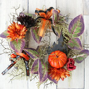 AEgbg  HF[tƃK[x̃nEB[X nEB VNt[ CTG} G} AW t[AW CeA t[AWg arg