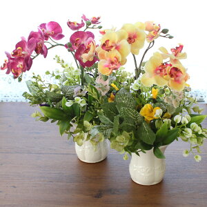  CeA ~jt@mƃpW[̃AW Ӓ VNt[ CTG} G} t[AW t[AWg arg